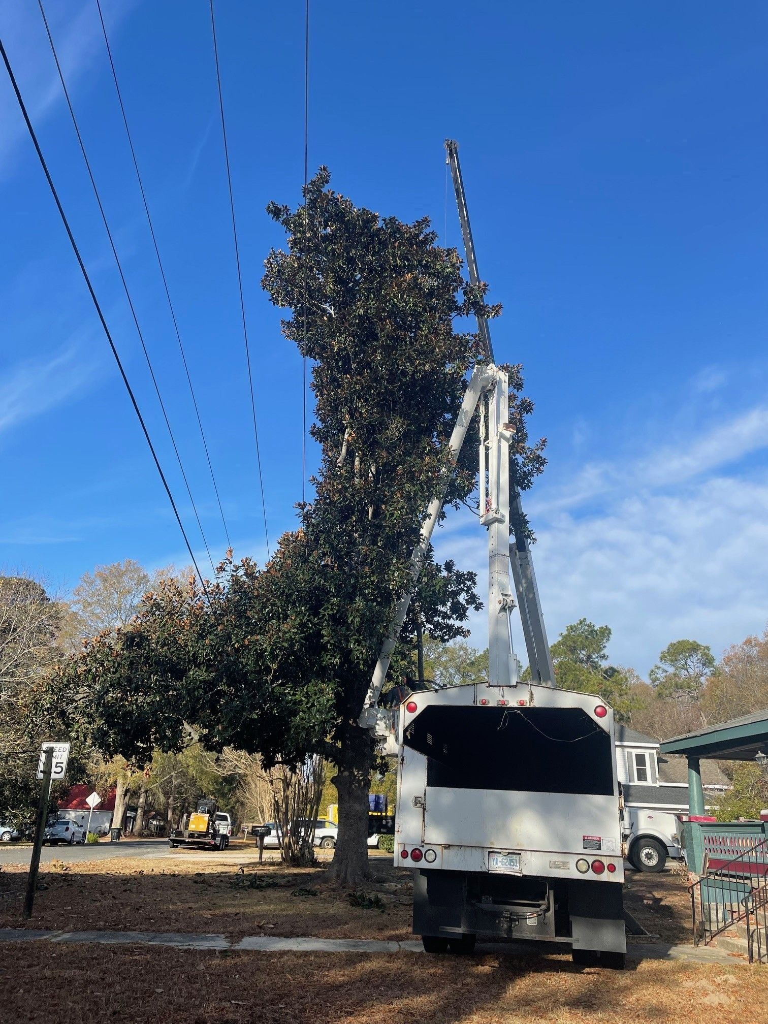Crane lifting a large tree beside utility lines, with a white truck parked on a roadside.