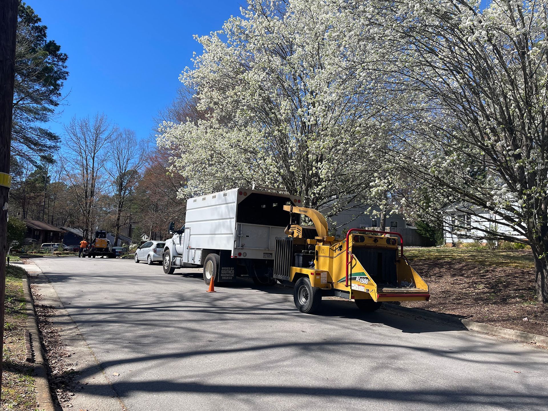 Yellow backhoe and dump truck on a road beside blooming white trees under a blue sky