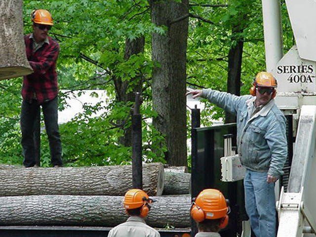 Workers in hard hats handle large logs beside a white truck in a wooded area.