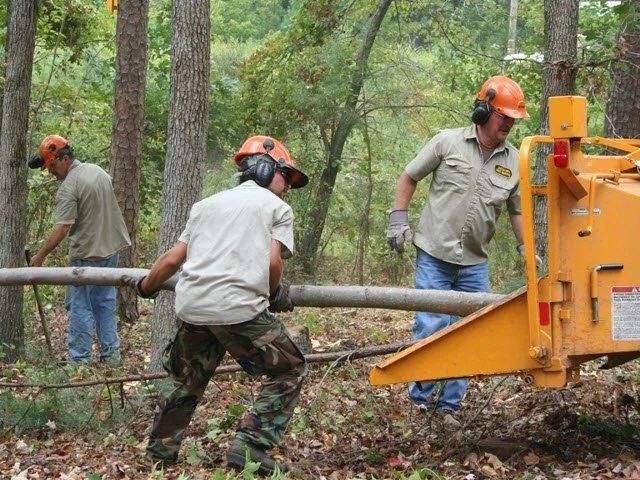 Workers in hard hats operating a wood chipper in a wooded area