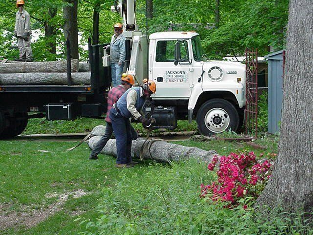 Workers loading a fallen tree trunk onto a truck in a grassy yard