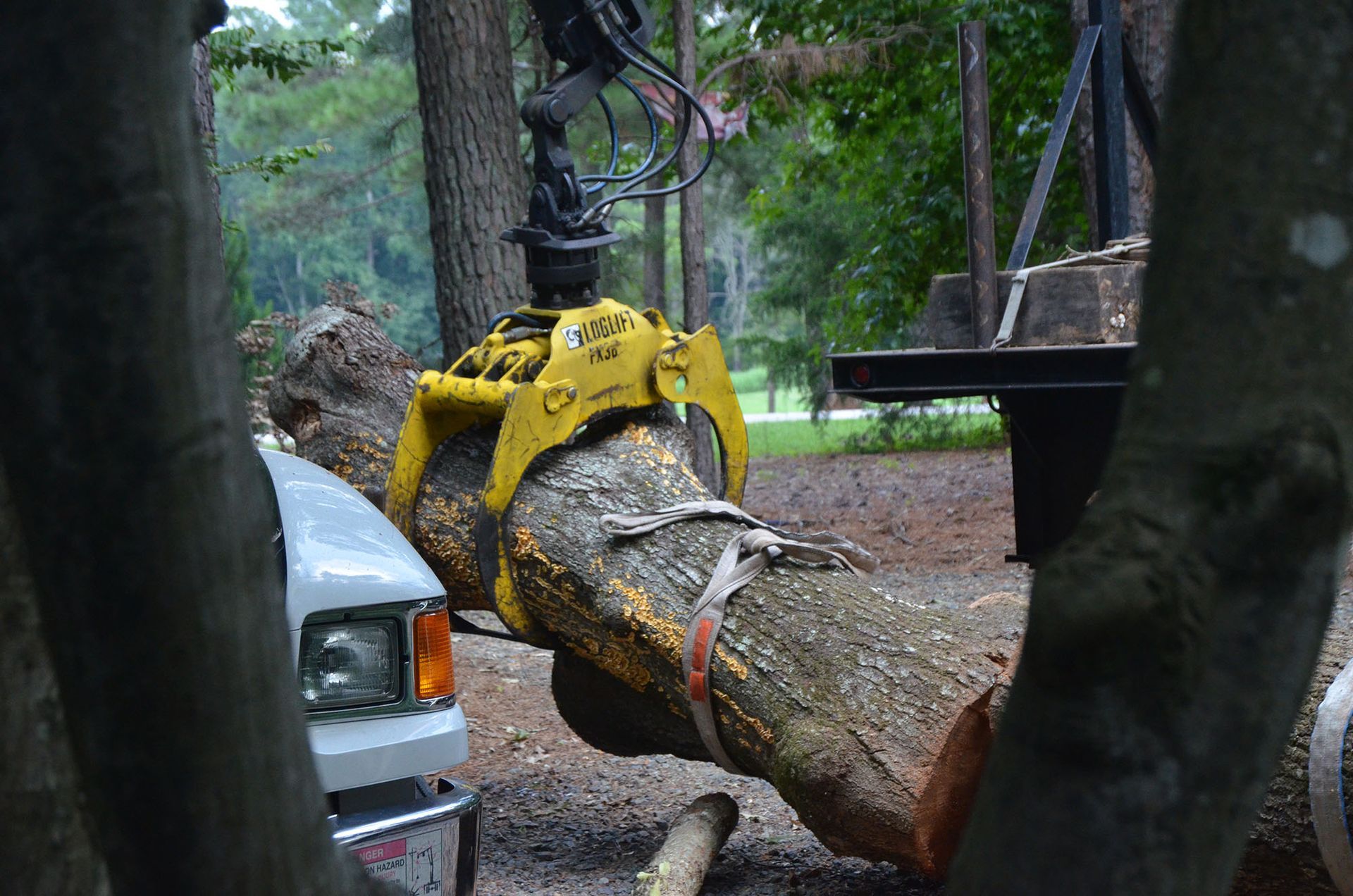 Yellow grapple lifts a large tree trunk beside a truck in a wooded area
