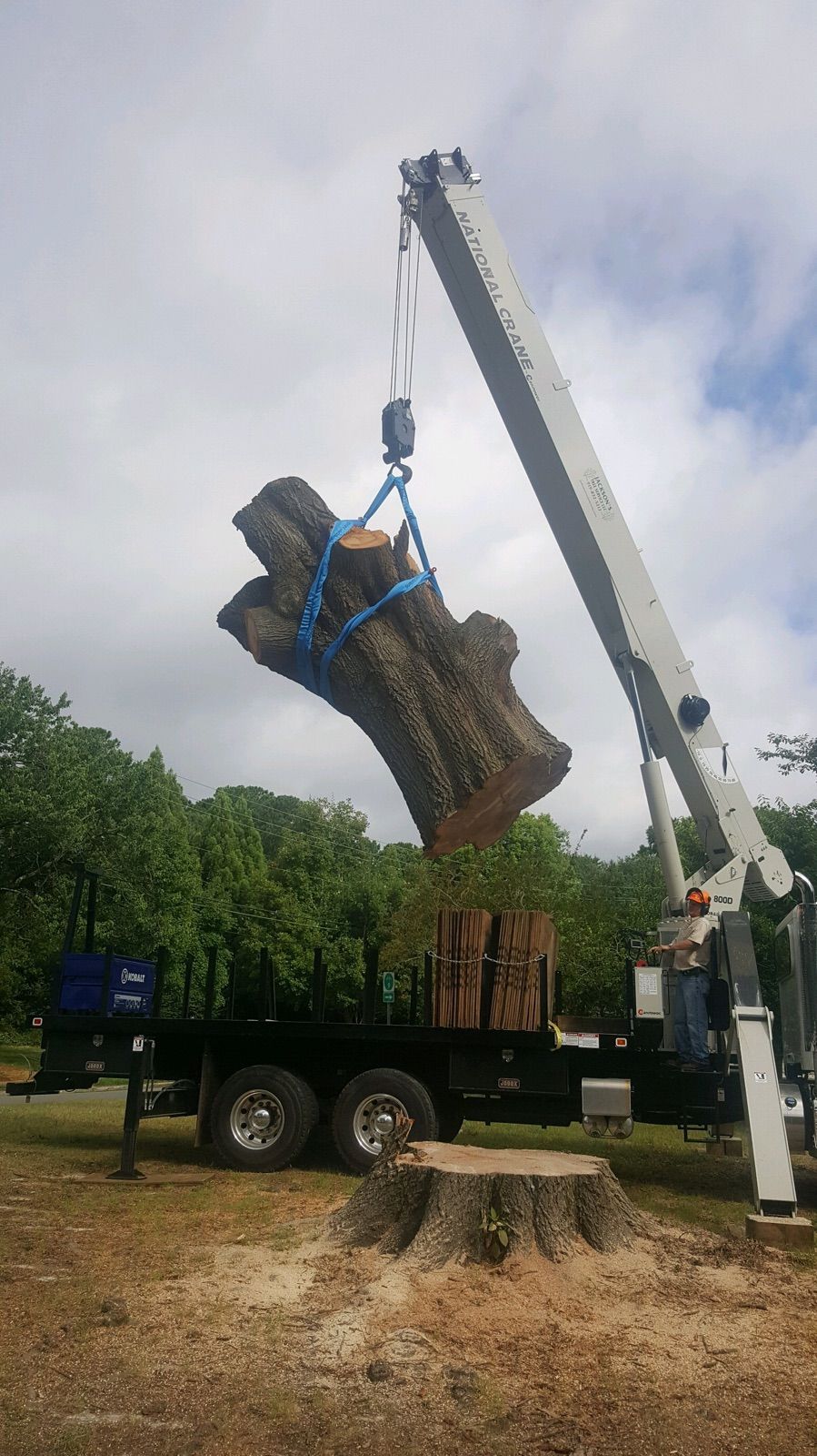 Crane lifting a bundled tree trunk over a flatbed truck in a wooded work area