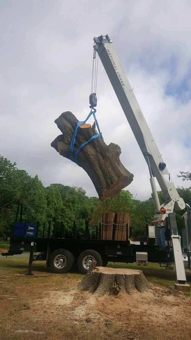 Crane lifting a strapped log bundle onto a truck in a wooded worksite