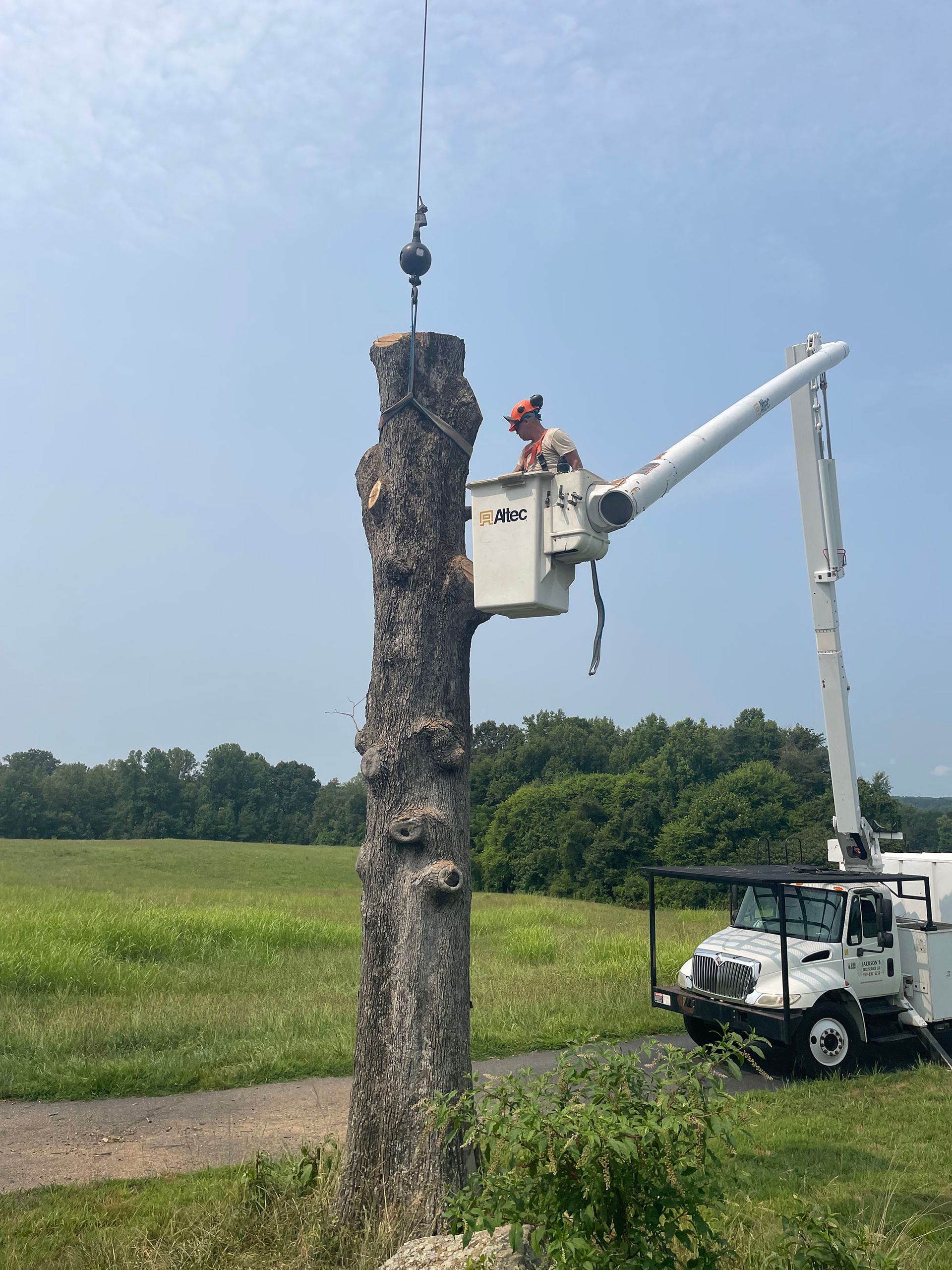 Crane truck removing debris from a tall tree trunk in a grassy field under a blue sky