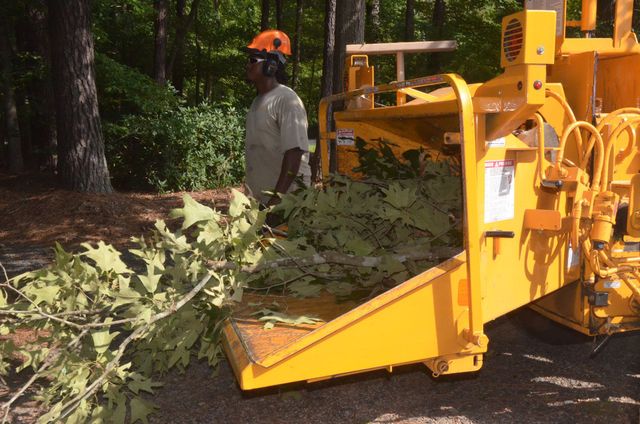 Worker in orange helmet operates a yellow wood chipper feeding leafy branches.