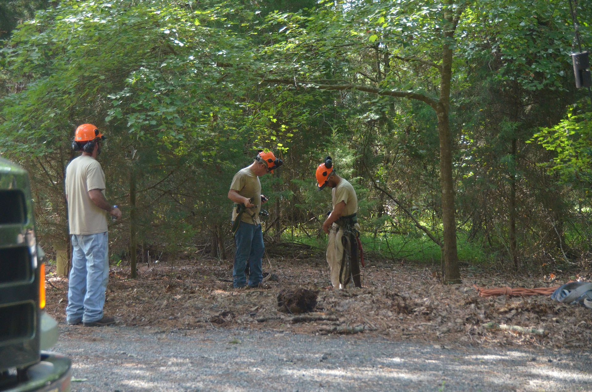 Three workers in orange hard hats inspect a wooded roadside area near a parked vehicle.