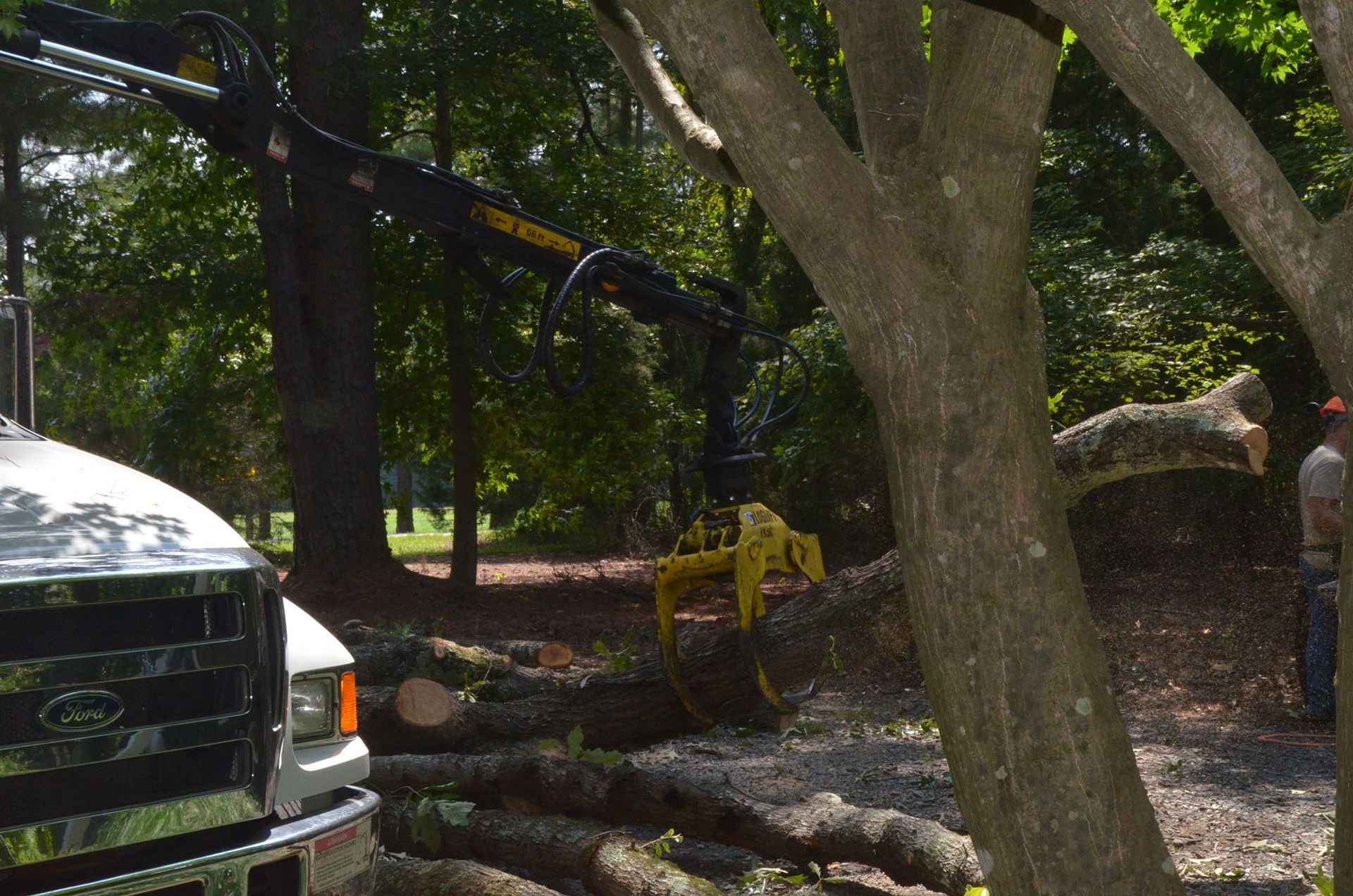 A tree trimming truck beside large trees in a wooded yard, with branches and debris on the ground.
