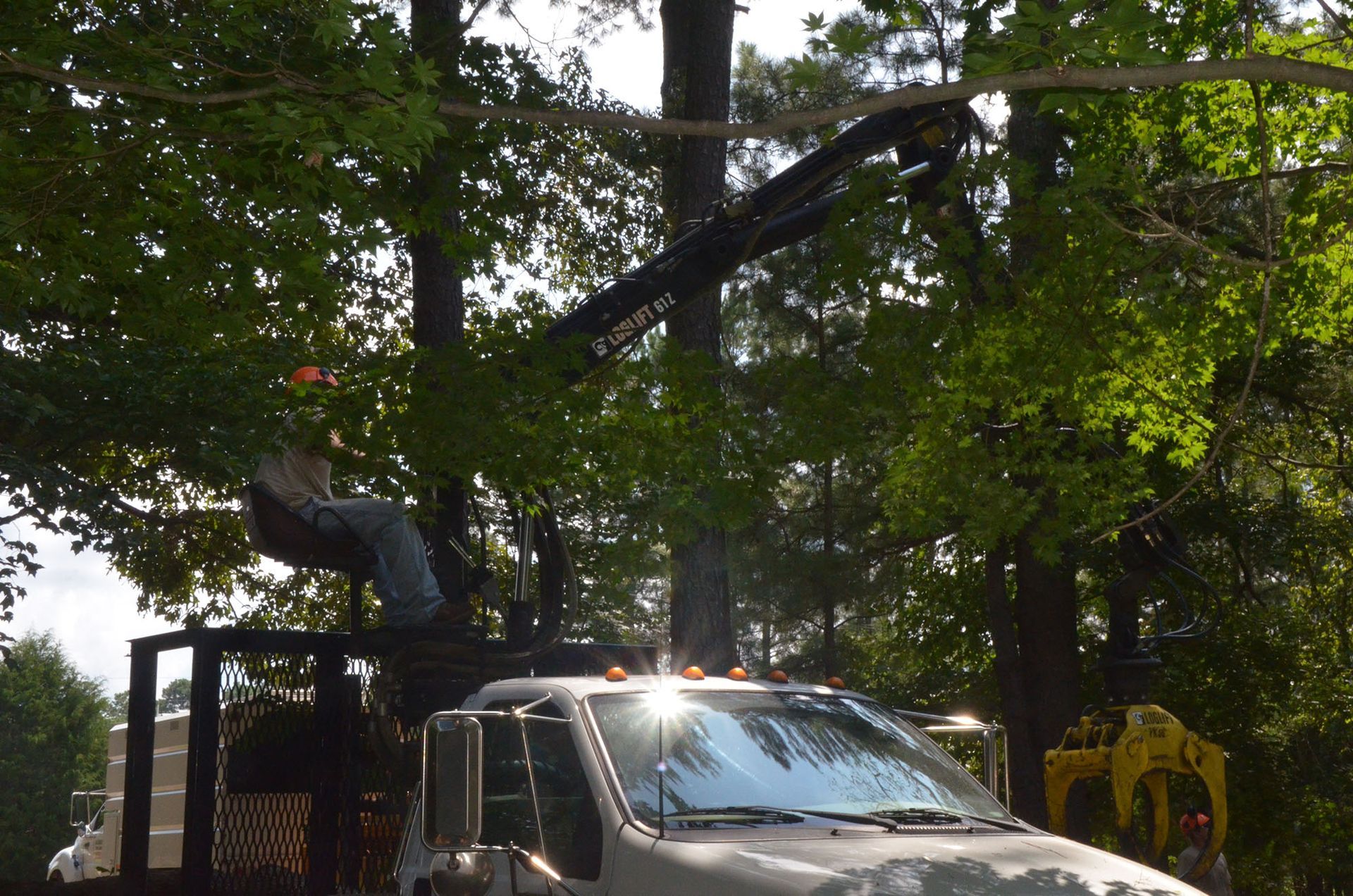 Truck-mounted tree trimmer working among leafy branches in a wooded area