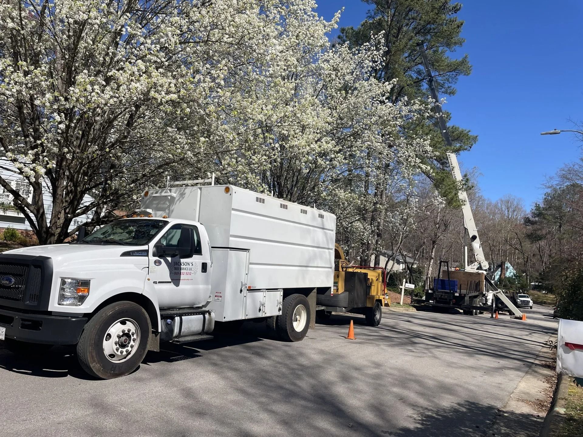 Jackson's Tree Service, LLC