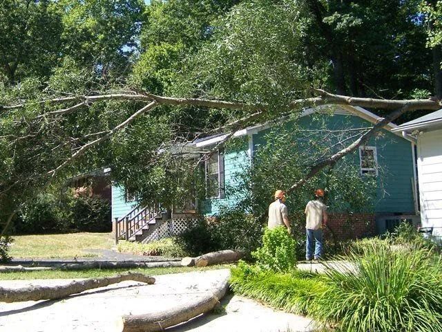 Two people stand by a fallen tree branch in front of a turquoise house and green yard.