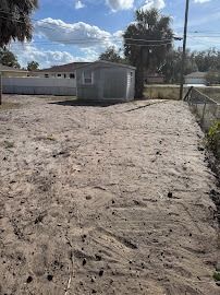 A sandy backyard with a small shed, a fence, and a house in the background. Blue sky and some trees are visible.