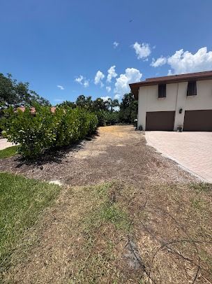 A lawn with dead grass, brown mulch, and green bushes next to a two-car garage under a blue sky.