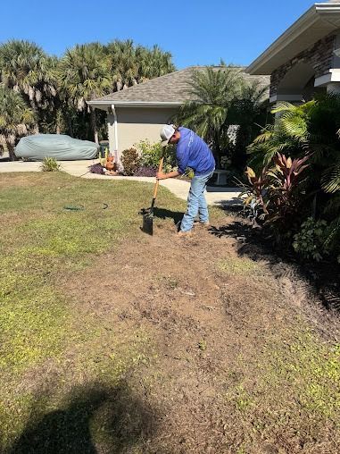 Person using a shovel to dig in a brown patch of lawn in front of a house on a sunny day.