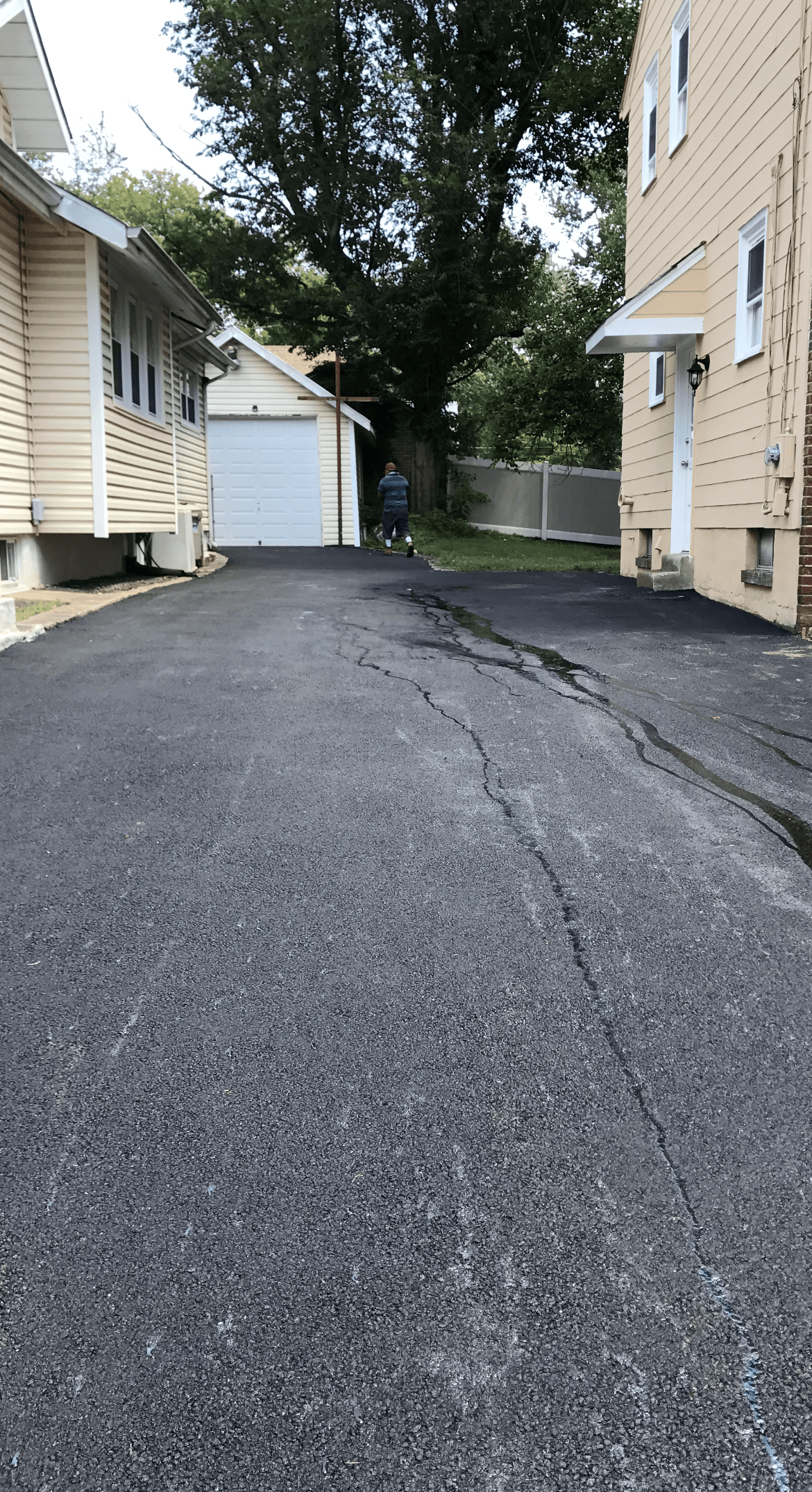 A driveway between two houses with a tree in the middle of it