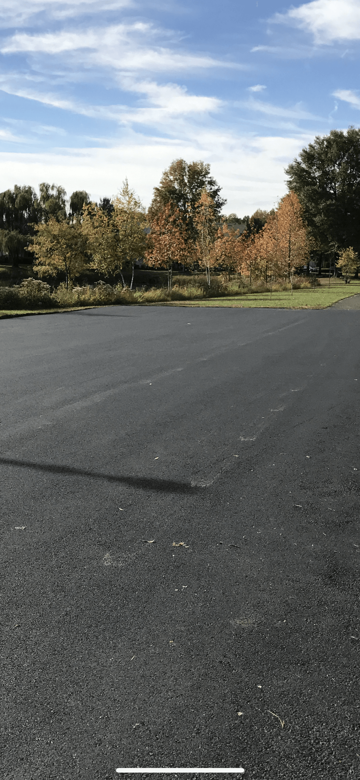 A parking lot with trees in the background on a sunny day