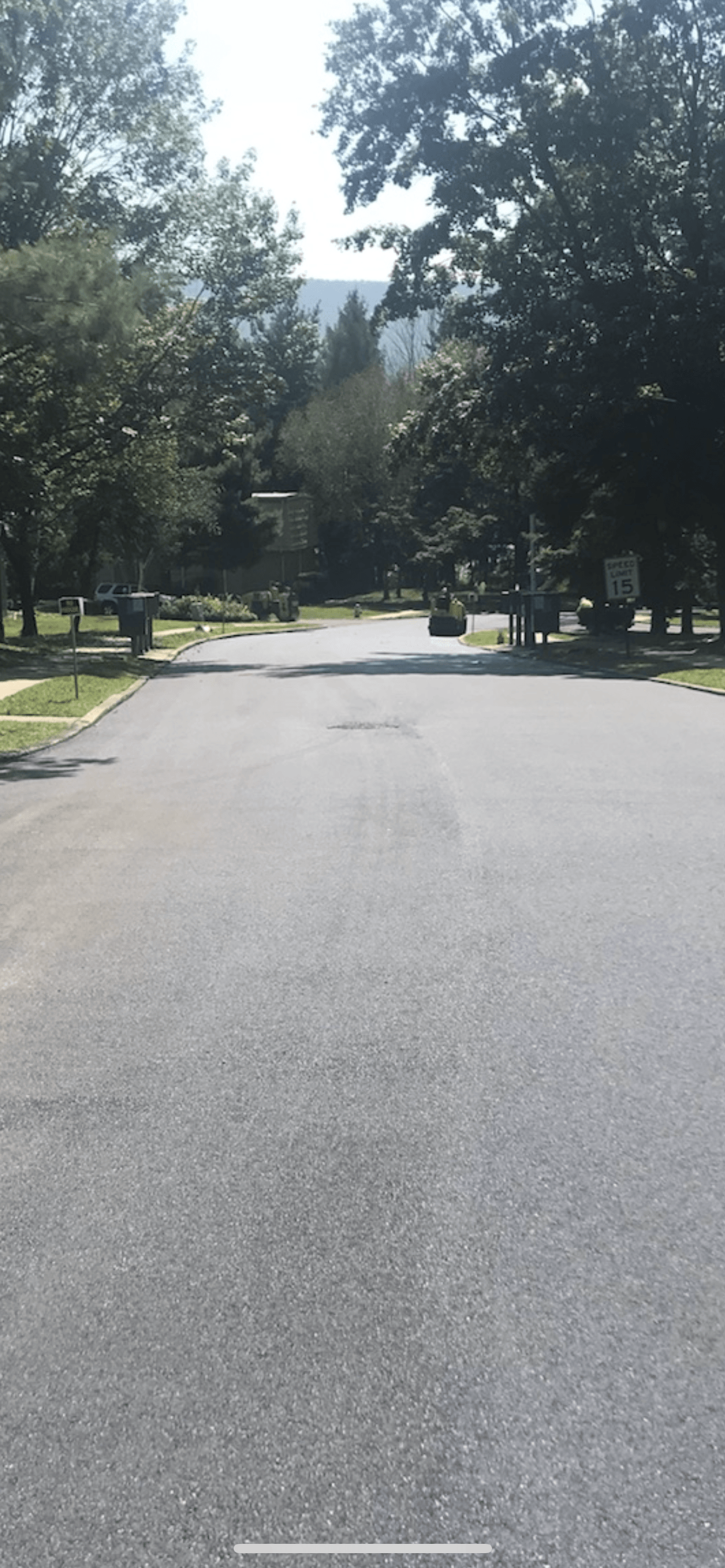 A road with a lot of trees on the side of it