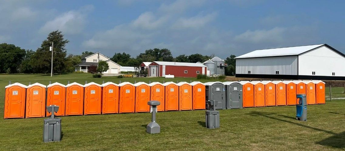 A row of portable toilets are lined up in a grassy field