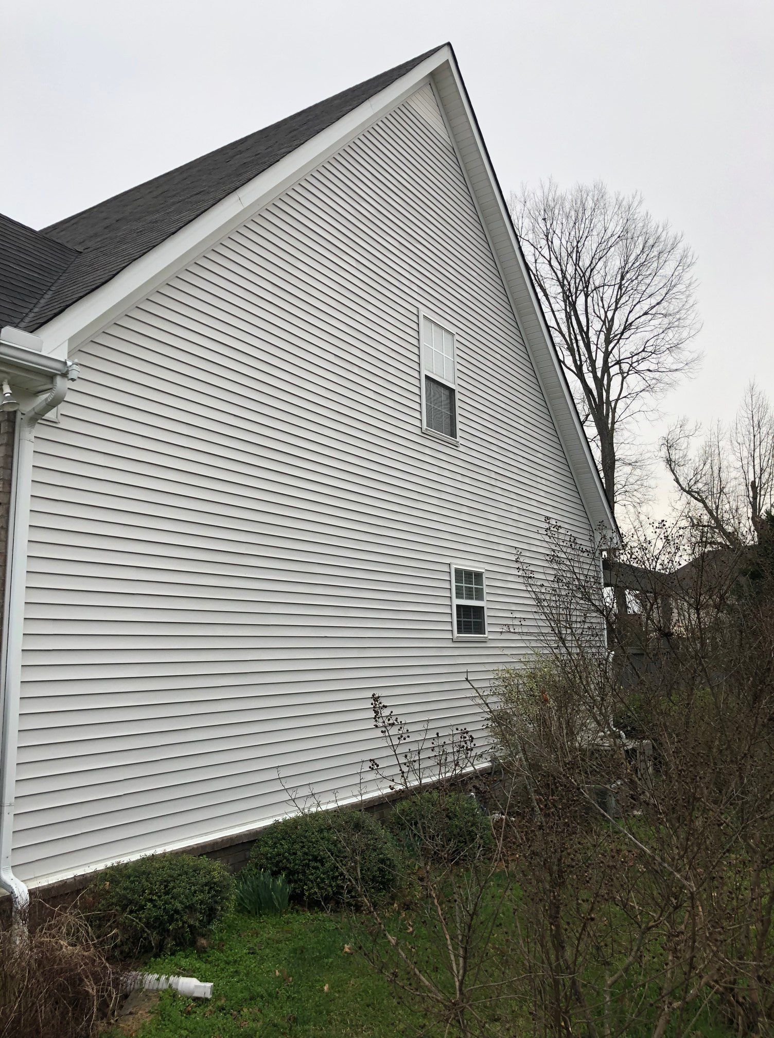 White-sided house with a steep roof and overgrown shrubs along the side yard