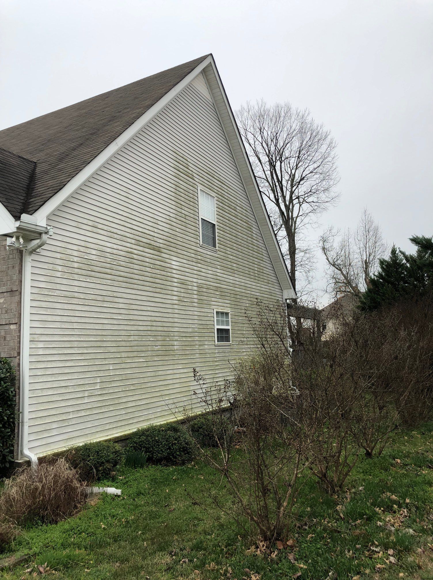 White-sided house with steep roof beside overgrown bushes and a leafless tree under a cloudy sky