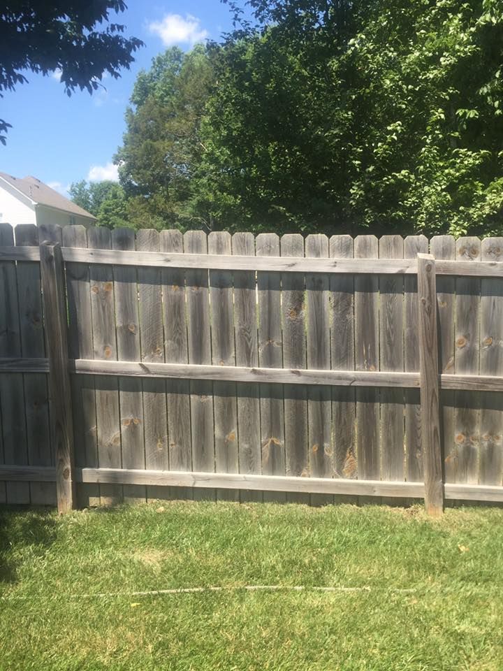 Wooden backyard fence with green grass and trees under a clear blue sky
