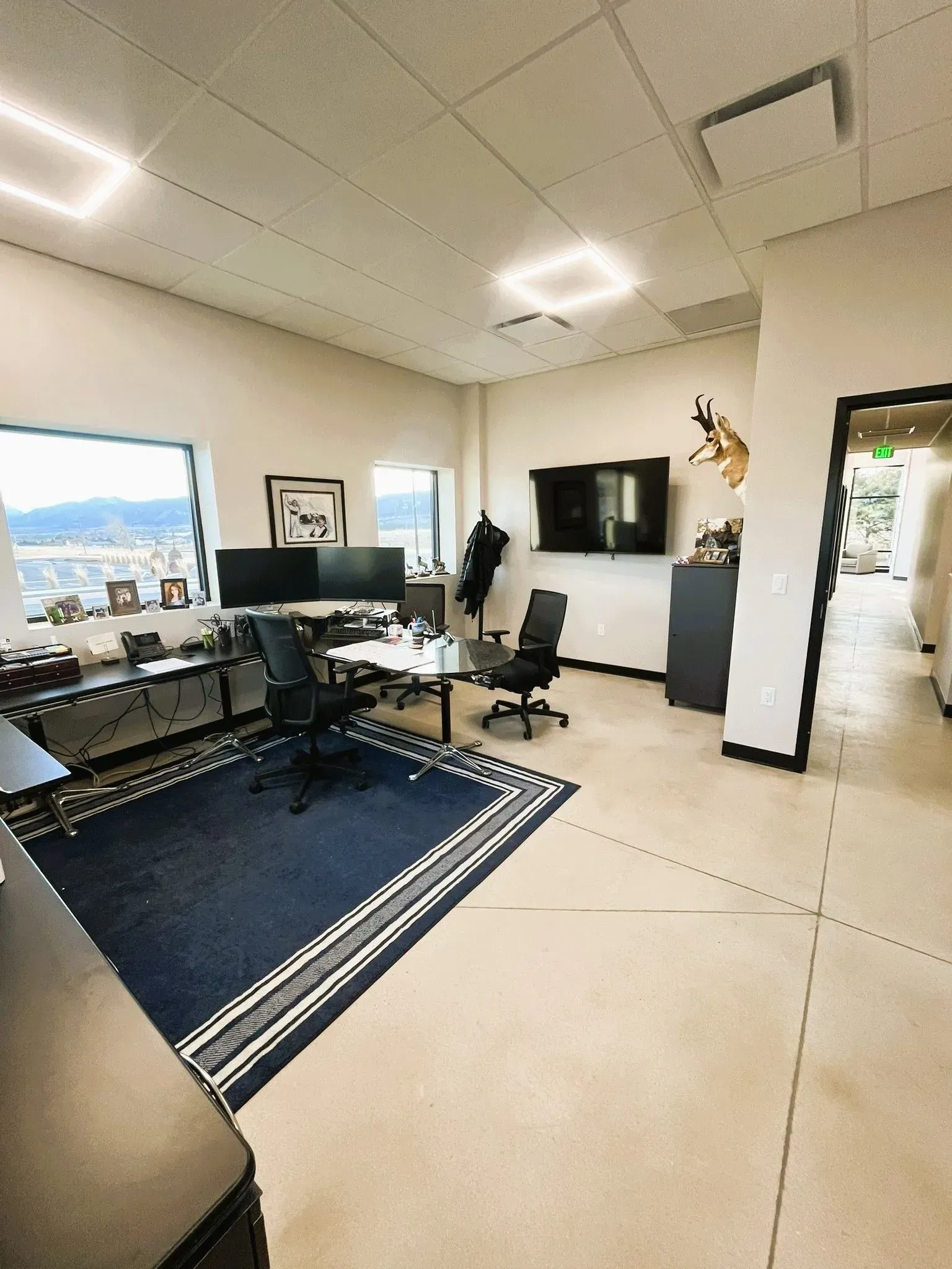 A bright home office with two desks, a navy blue area rug, computer monitors, and a mounted deer head on the wall.