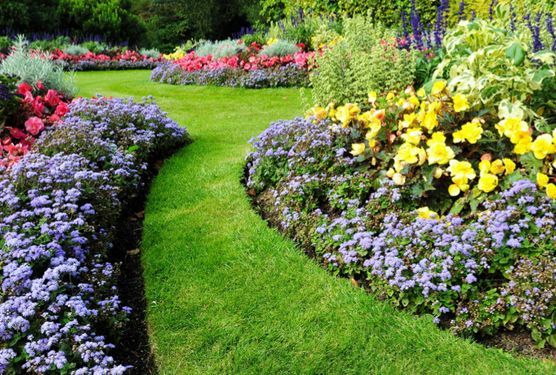 There are many different types of flowers in the garden.