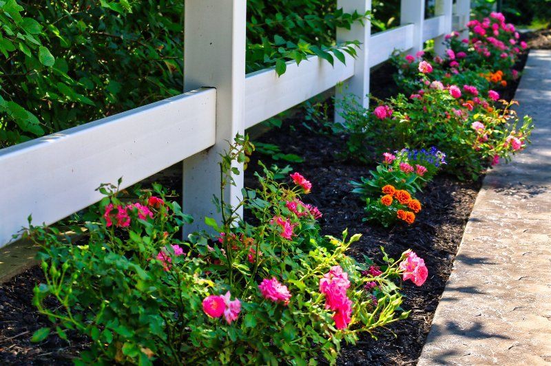 A white fence surrounds a garden with pink and orange flowers.