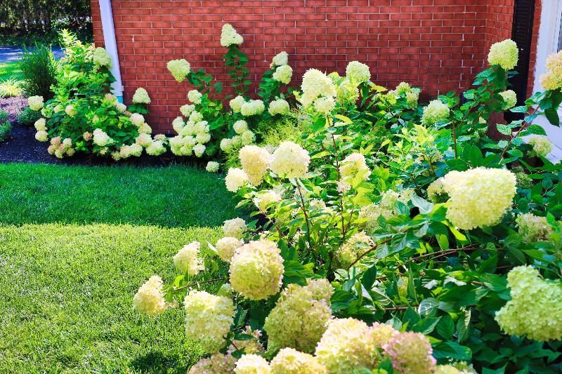 A bunch of flowers are growing in a garden in front of a brick building.