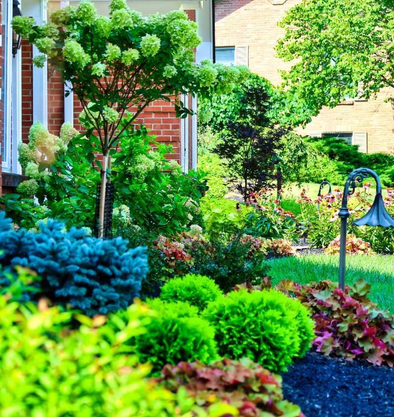 A garden with lots of plants and trees in front of a brick house.