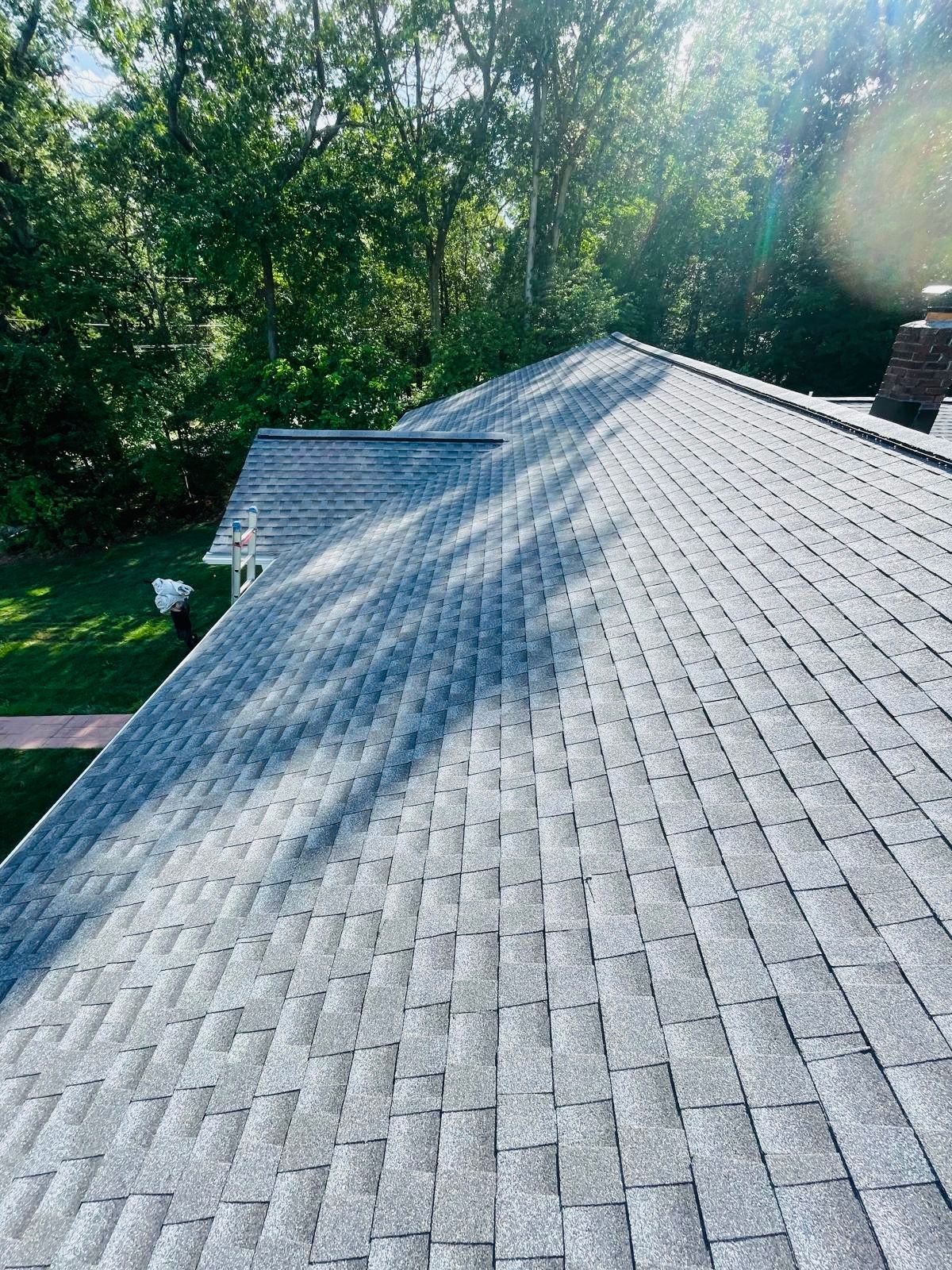 A close up of a roof with trees in the background.