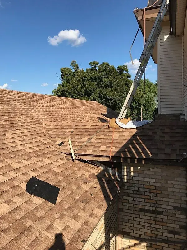 Brown shingle roof with ladder propped against the side of a brick building on a sunny day.