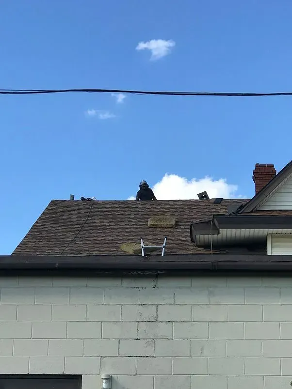 Person on a roof repairing shingles. Dark figure on a brown roof with a ladder against the shingles, blue sky above.