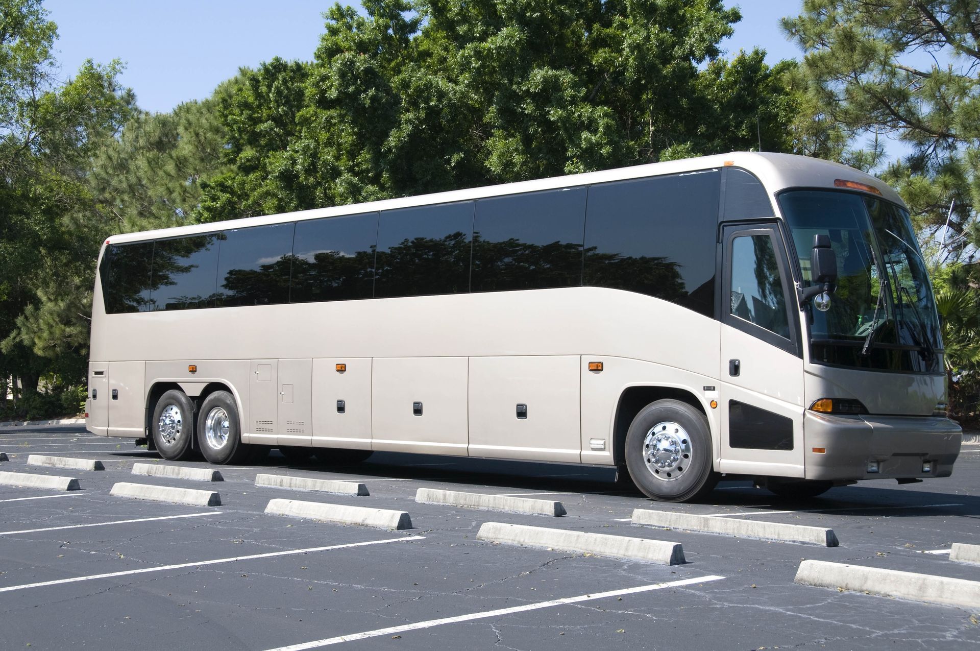 party bus rental