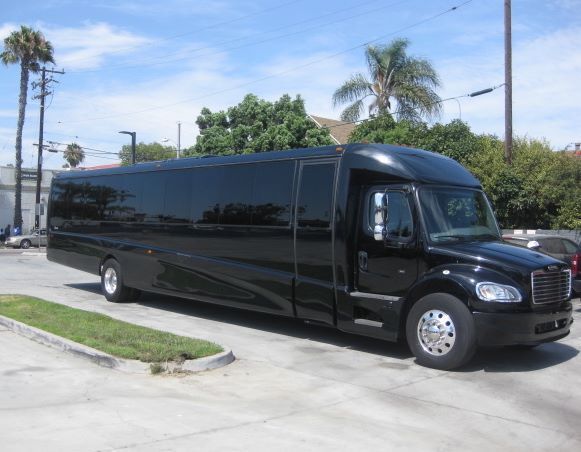Black stretch limousine parked on a sunny street with palm trees and a house in the background