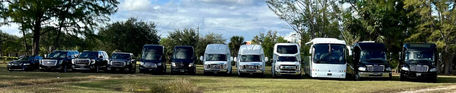 Line of parked cars and vans beneath trees in a grassy outdoor lot, with a partly cloudy sky above