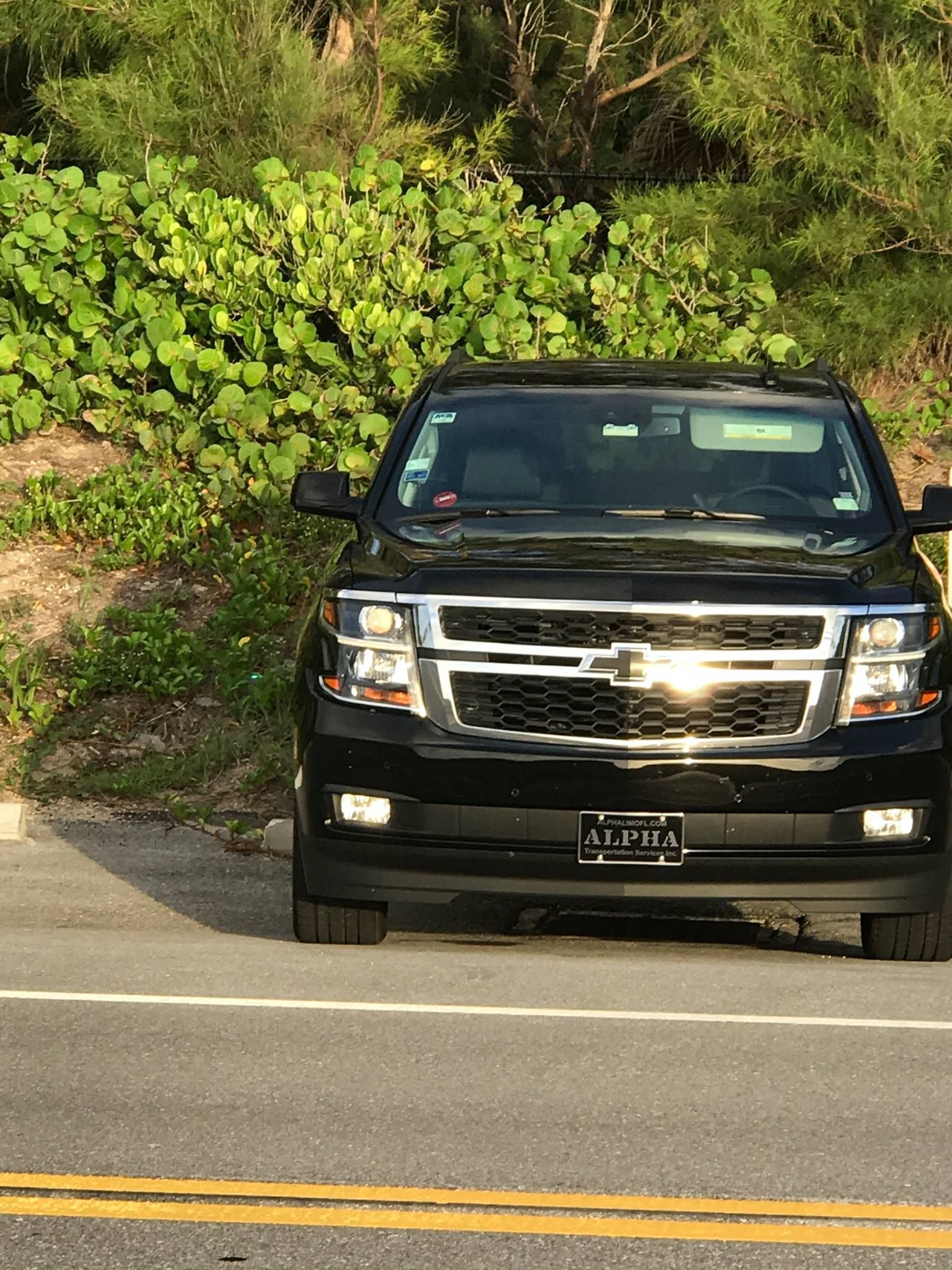 Alpha Transportation Services Inc
