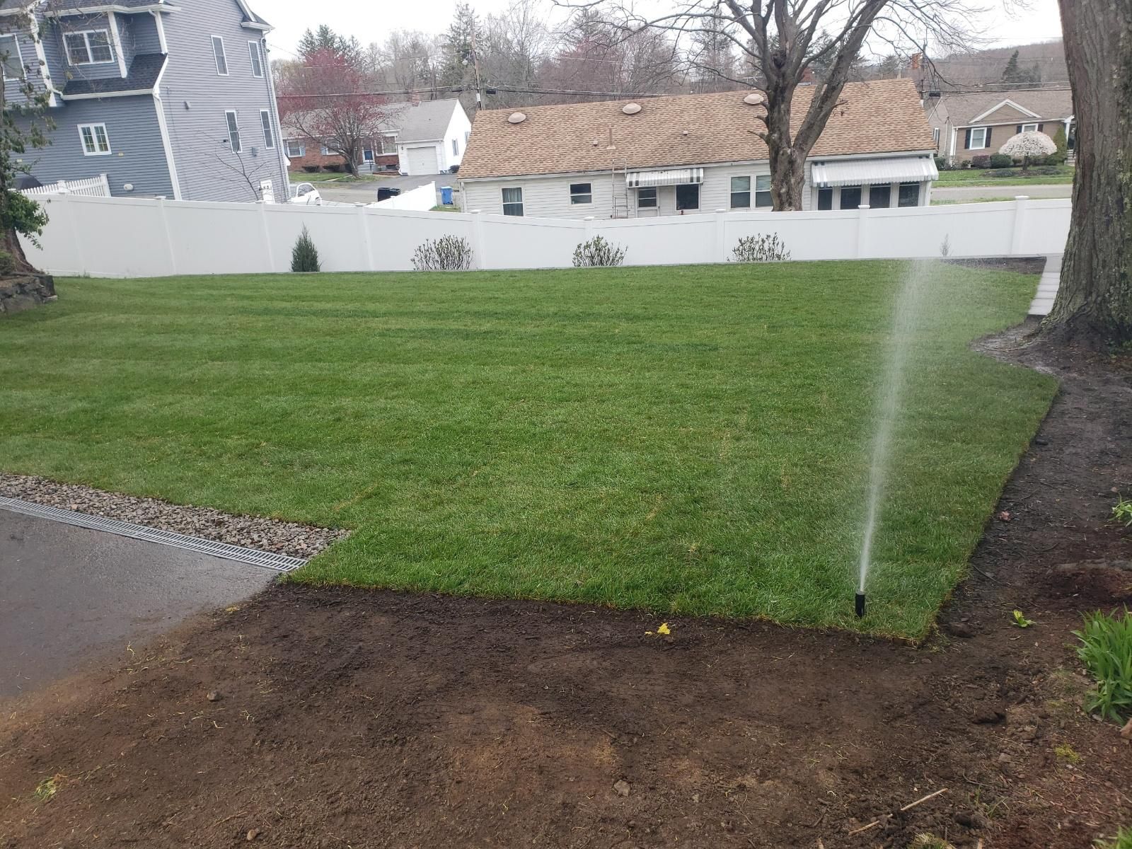A lawn sprinkler is spraying water on a lush green lawn.