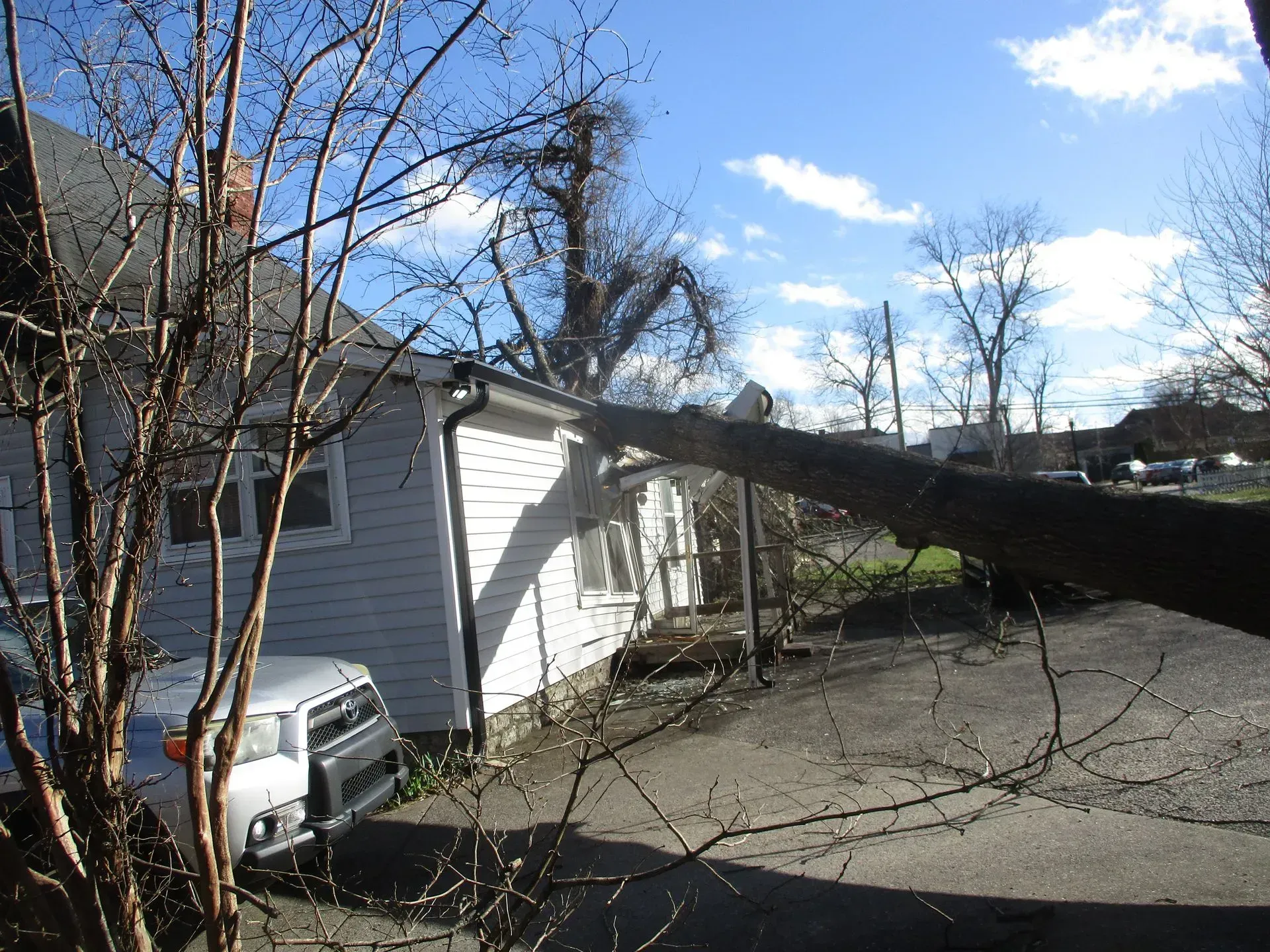 Large tree branch resting on a white house and driveway after storm damage