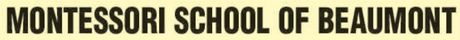 Montessori School of Beaumont and Color Box Child Care Center - Logo