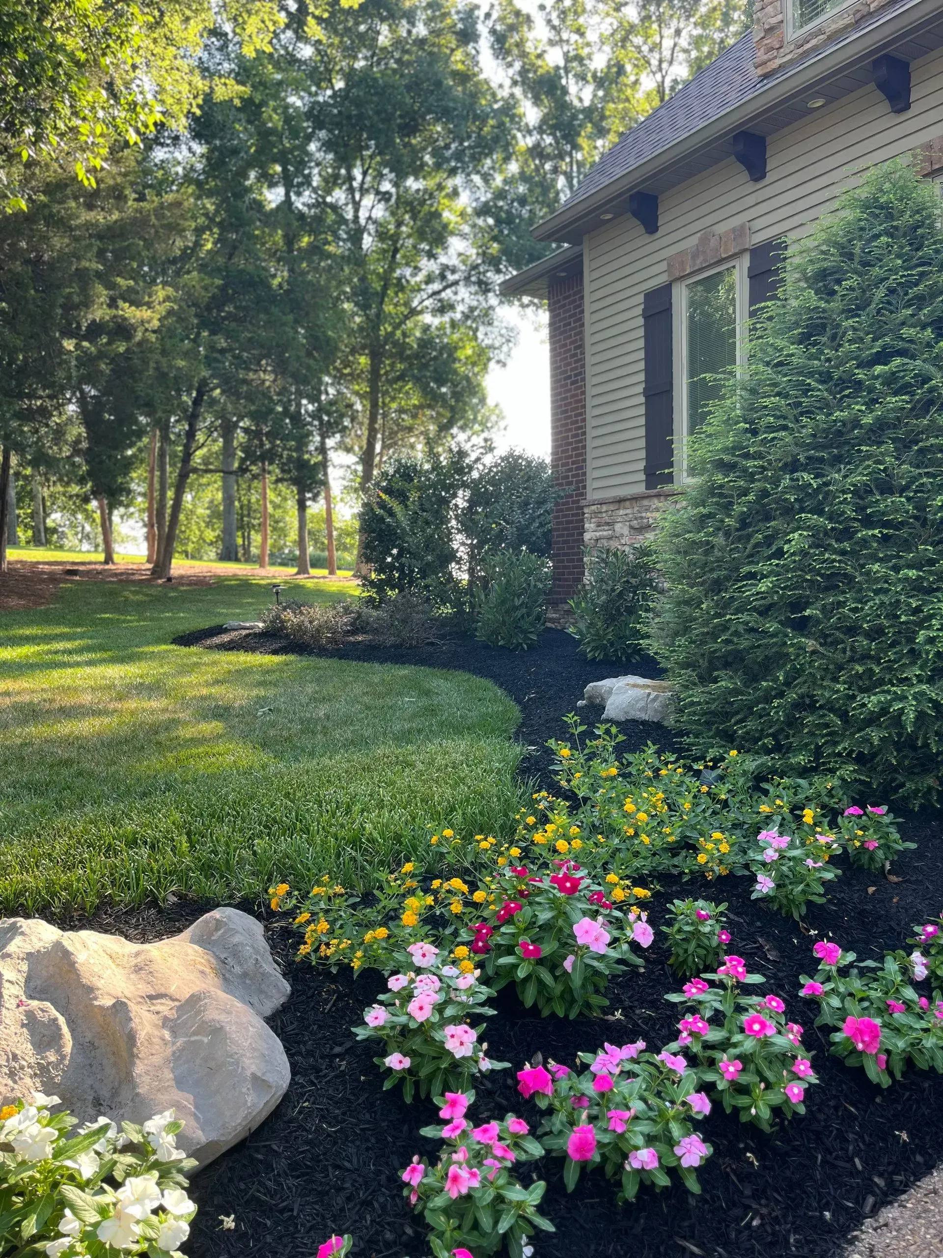 Front yard landscaping with colorful flowers, dark mulch, and large rocks.