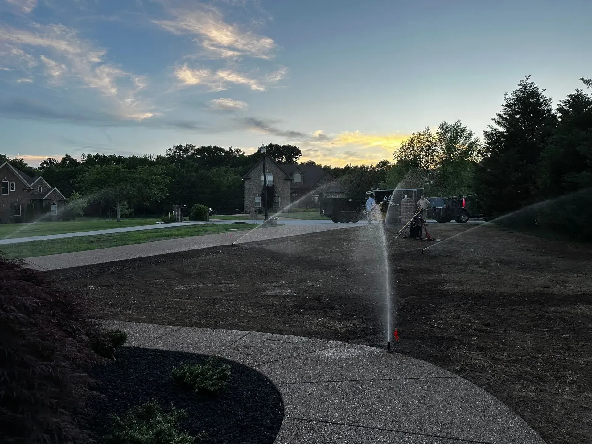 Sprinklers watering a newly seeded lawn at dusk. Houses and trees in the background, sidewalk in the foreground.