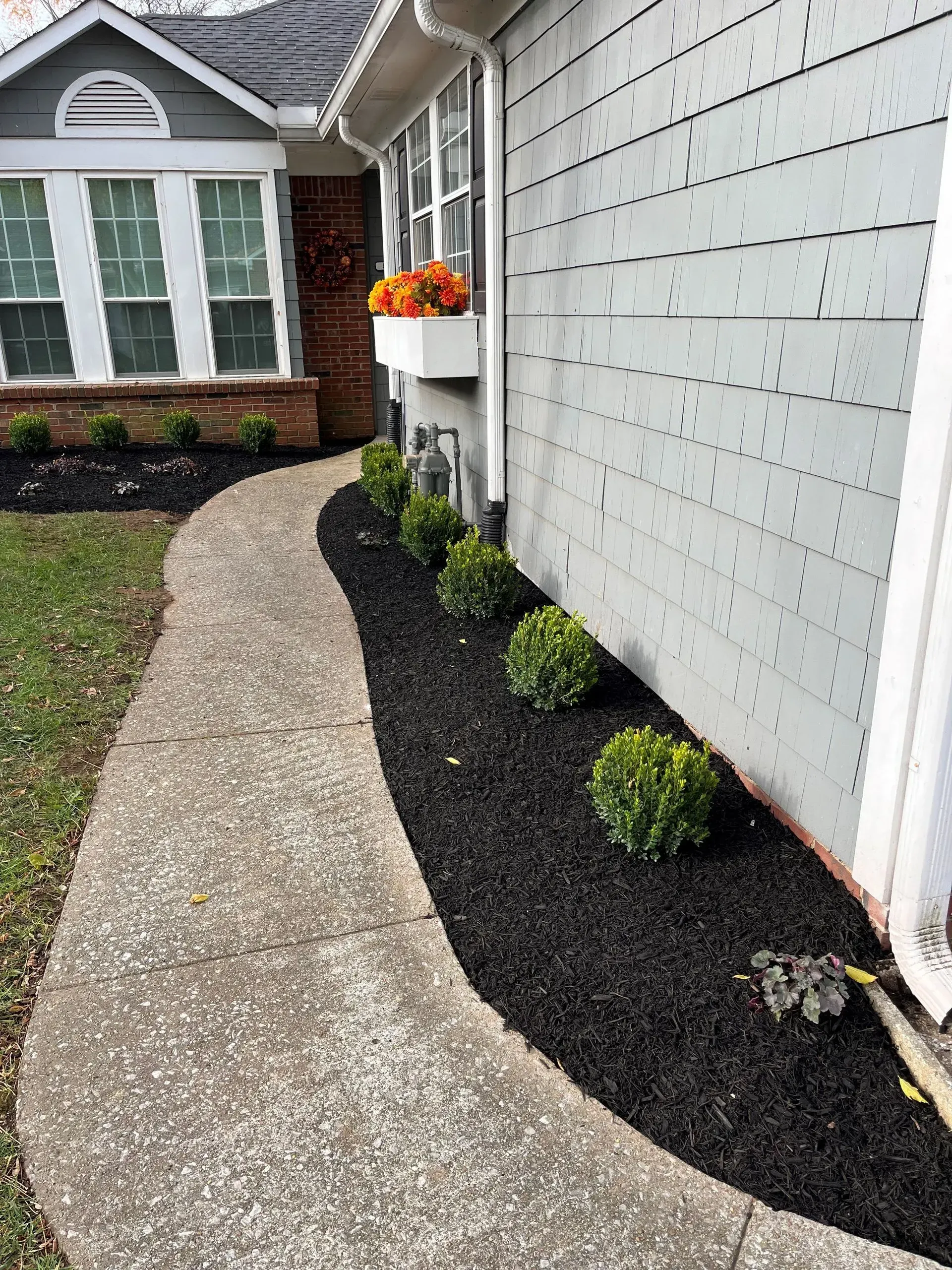 Stone path curves alongside a house with gray siding and neatly trimmed shrubs in black mulch.