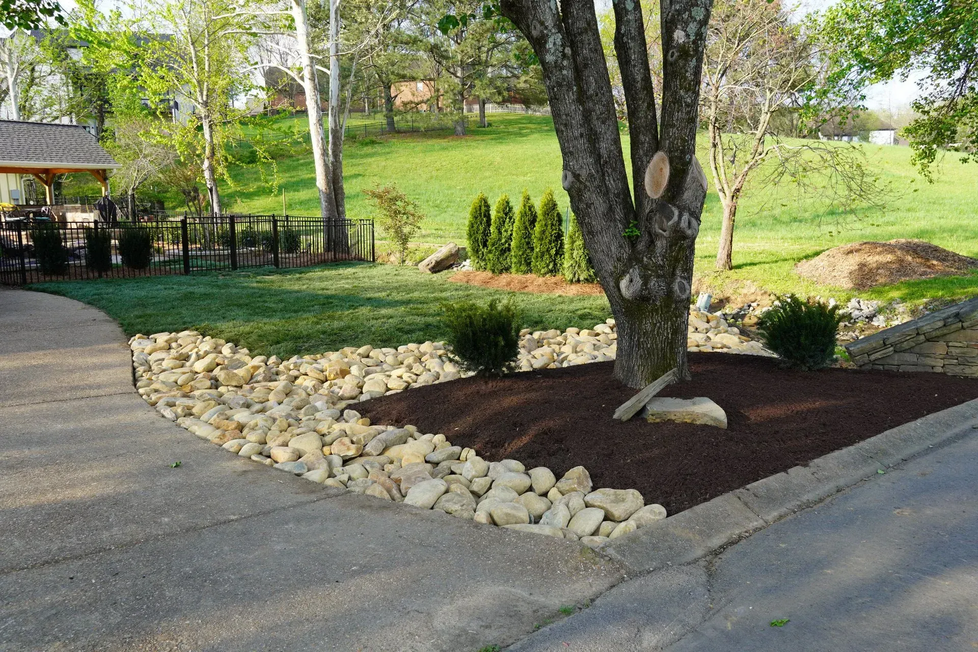 A tree surrounded by rocks, mulch, and grass on a sunny day; a driveway and lawn.
