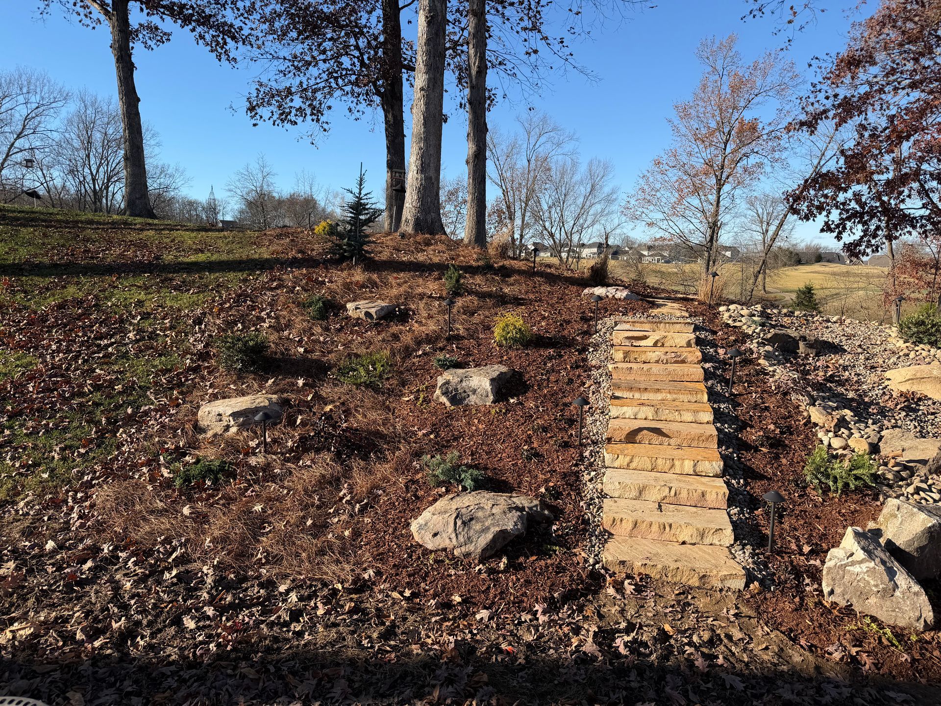 Stone steps leading up a hillside garden with trees and rocks, under a blue sky.