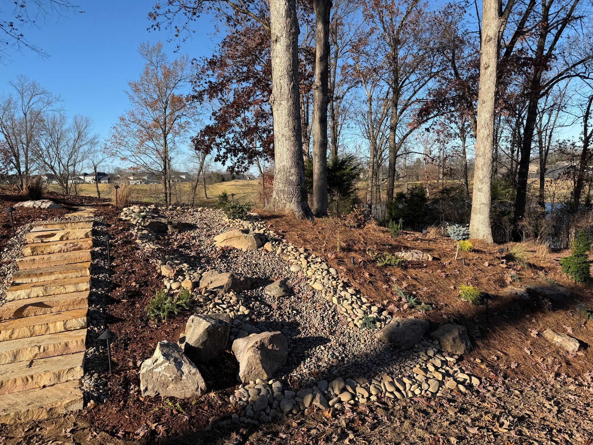 Stone steps and rock garden with trees on a sunny day.