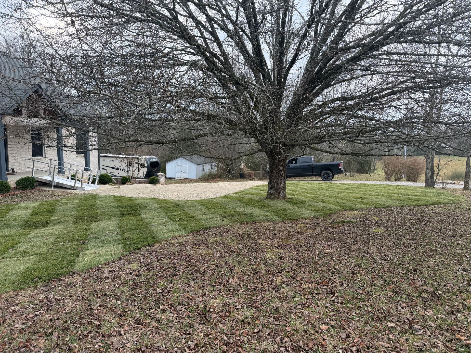A house with striped lawn, a tree, a gravel driveway, and a truck parked in the yard.