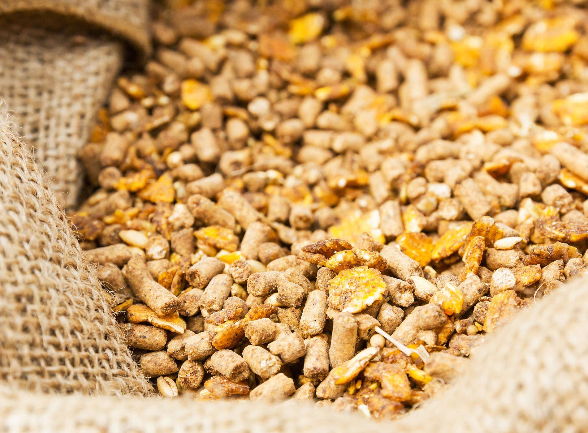 Crivitz Feed Mill Seed Supplies Crivitz, WI