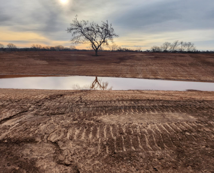 A single bare tree stands on a barren, muddy field with tire tracks and a reflecting pool under a cloudy sunset sky.