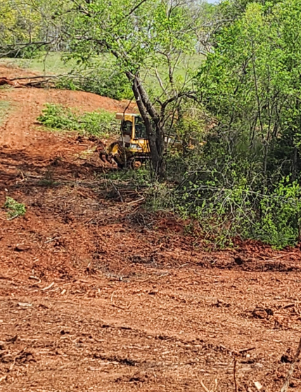 A yellow bulldozer clears trees and red soil on a plot of land beside a wooded area.